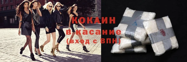 индика Балахна