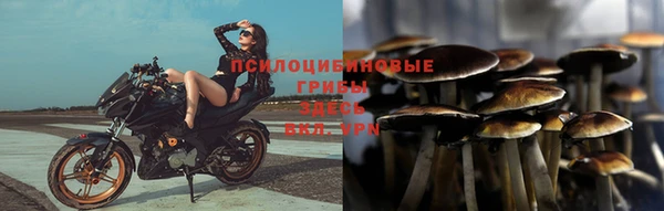 индика Балахна