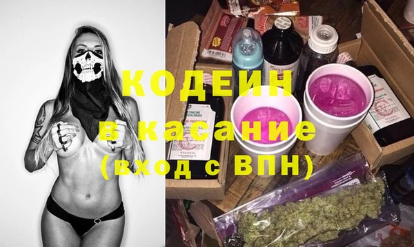 индика Балахна