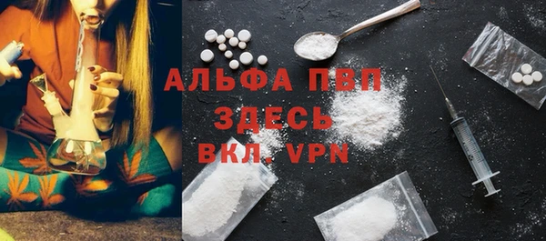 индика Балахна