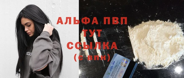 индика Балахна