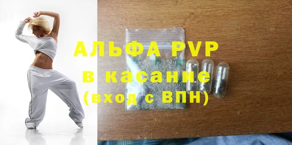индика Балахна
